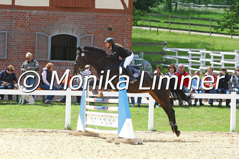 006L7181_Spring L.JPG